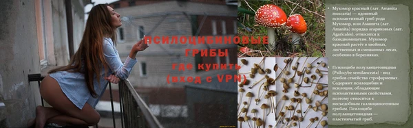 гашишное масло Белокуриха