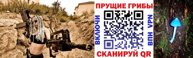 закладка кракен как войти Псилоцибиновые грибы Psilocybine cubensis Волгореченск